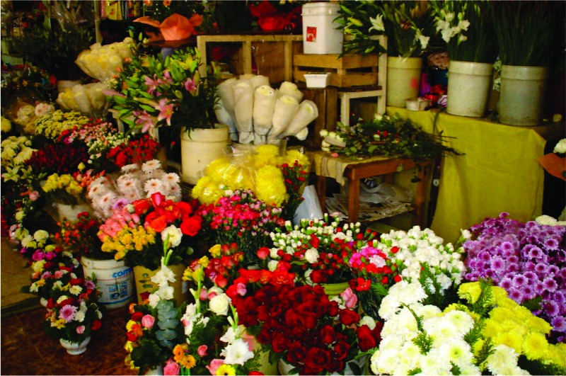 Amazon Flores - Supermercados