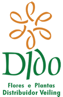 logotipo de Dido Flores