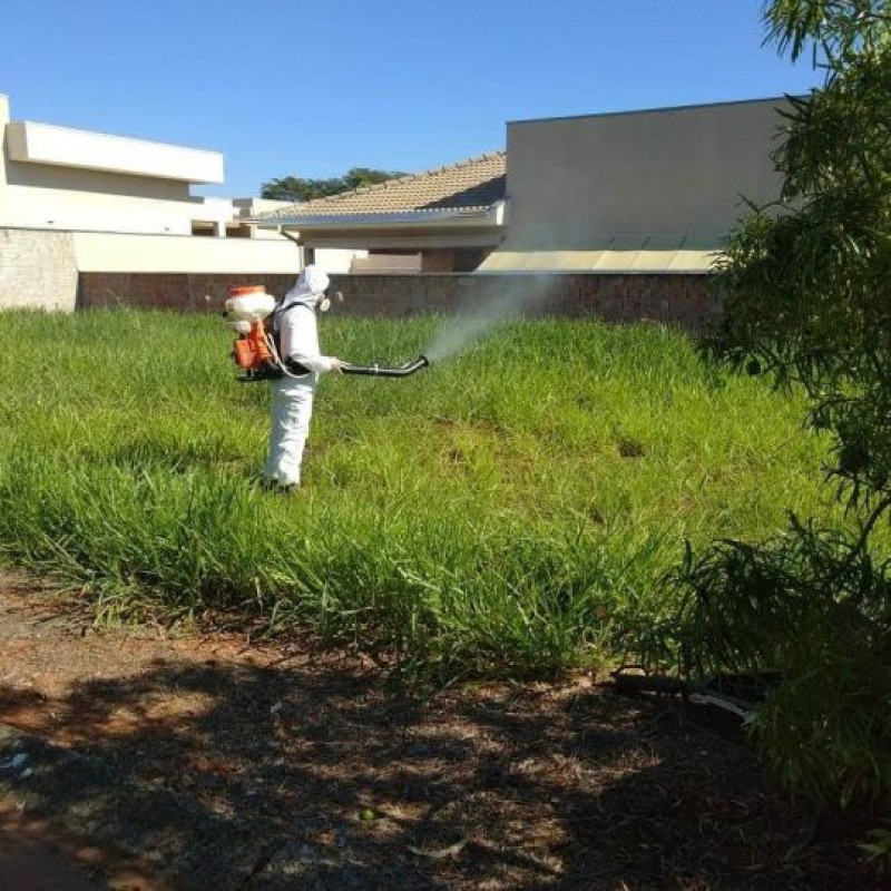 Imagem para fotos de 