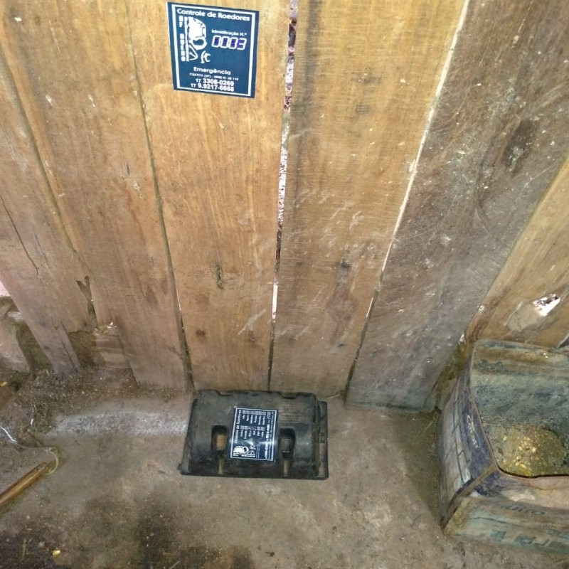 Imagem para fotos de 