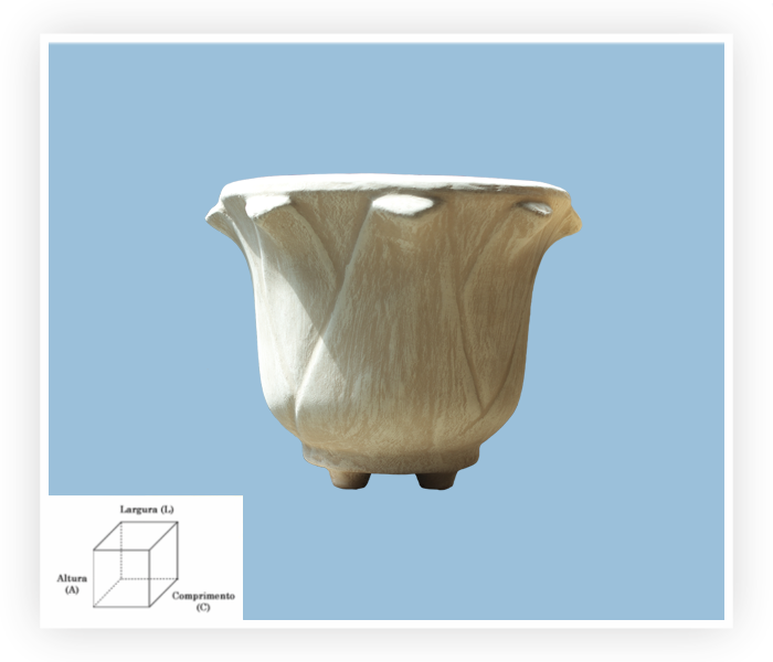 Imagem de Lírio Redondo