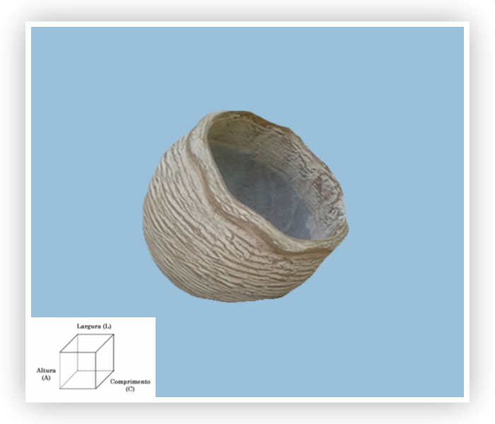 Imagem de Vaso Torto