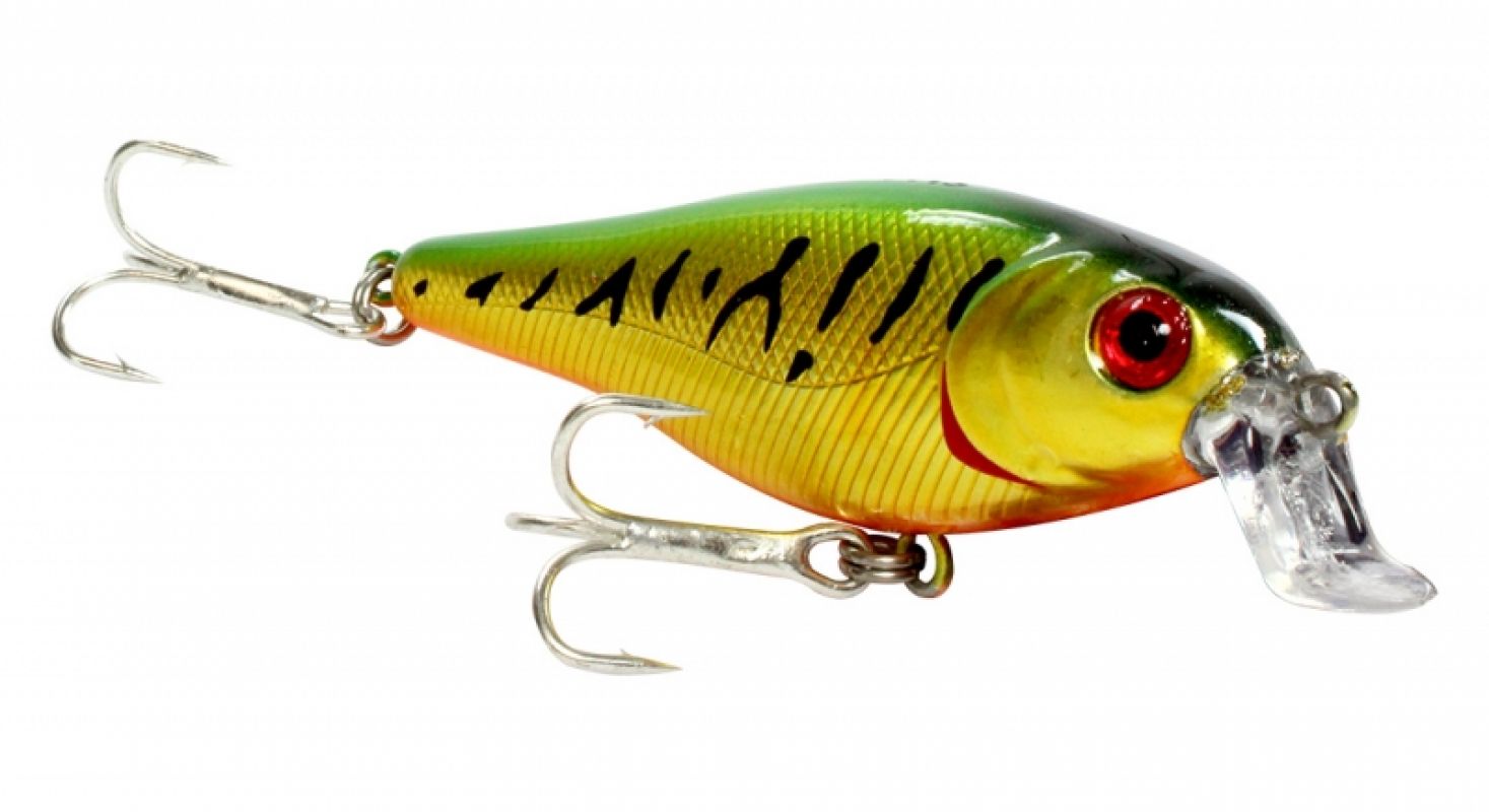 Imagem de Isca Artificial Lori - Shad