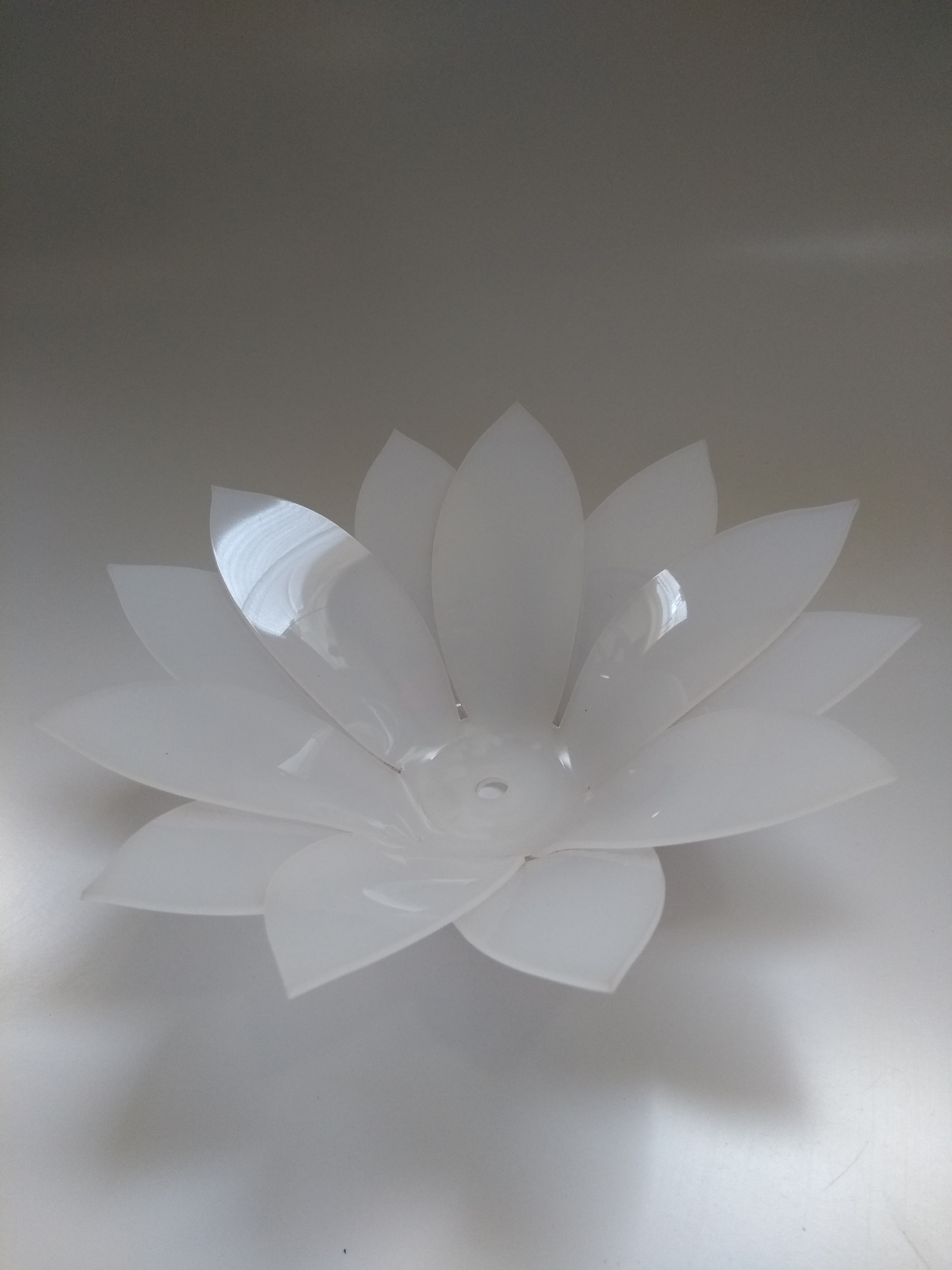 Imagem de Fruteira de flor