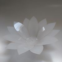 Imagem de Fruteira de flor