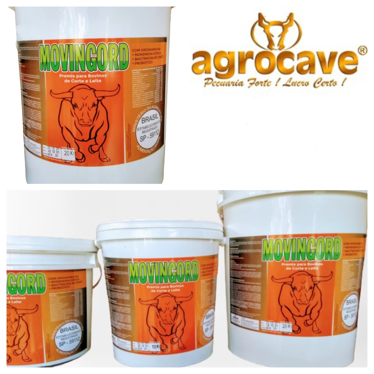 Imagem ilustrativa de MOVINGORD + PESO - 10 KG / 20 KG / 50 KG 