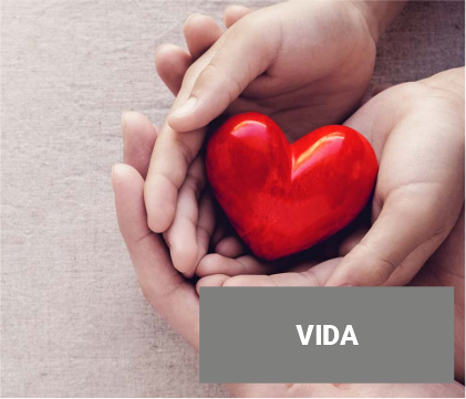 Imagem de VIDA