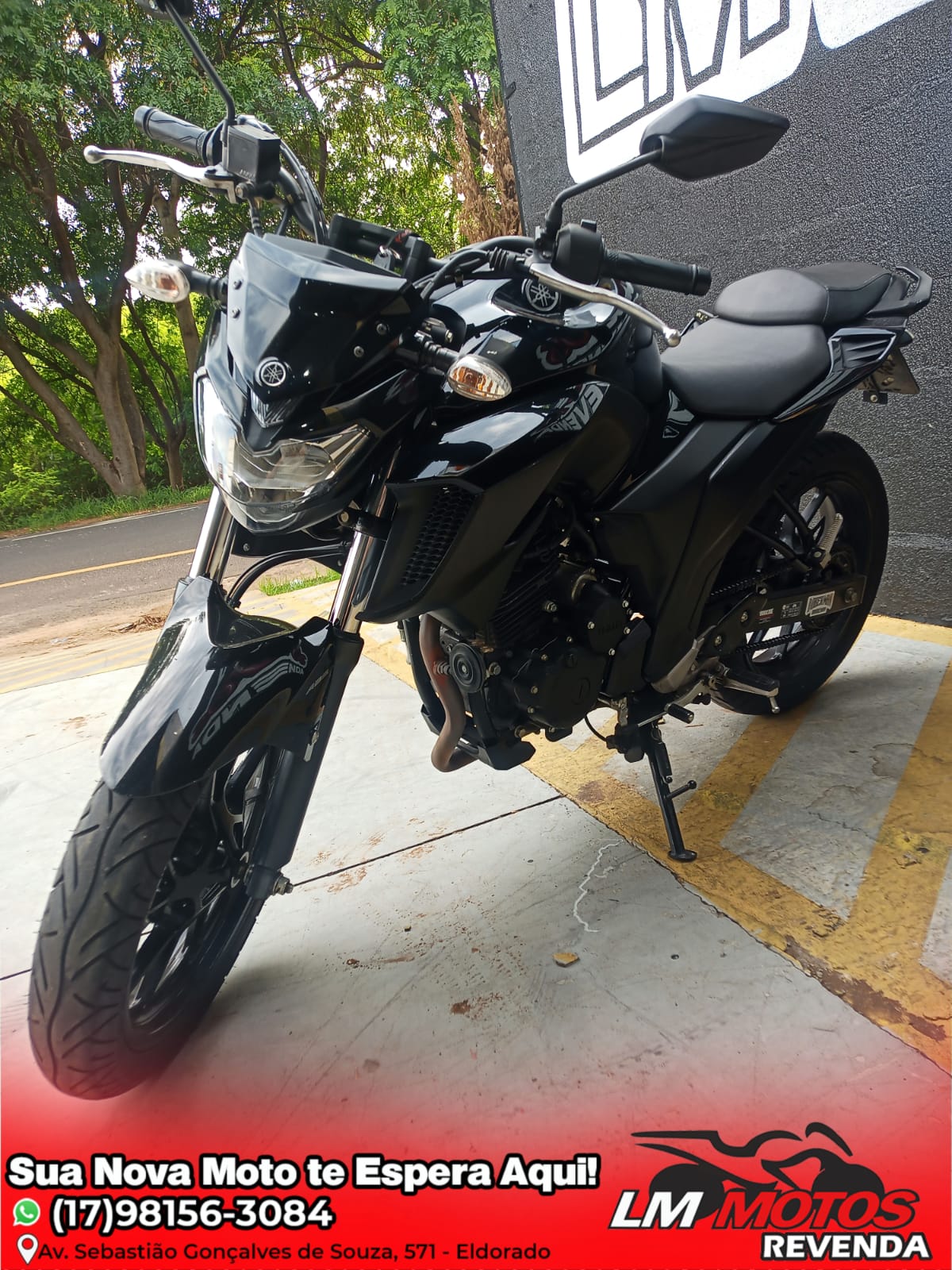FZ25 FAZER 2020/20