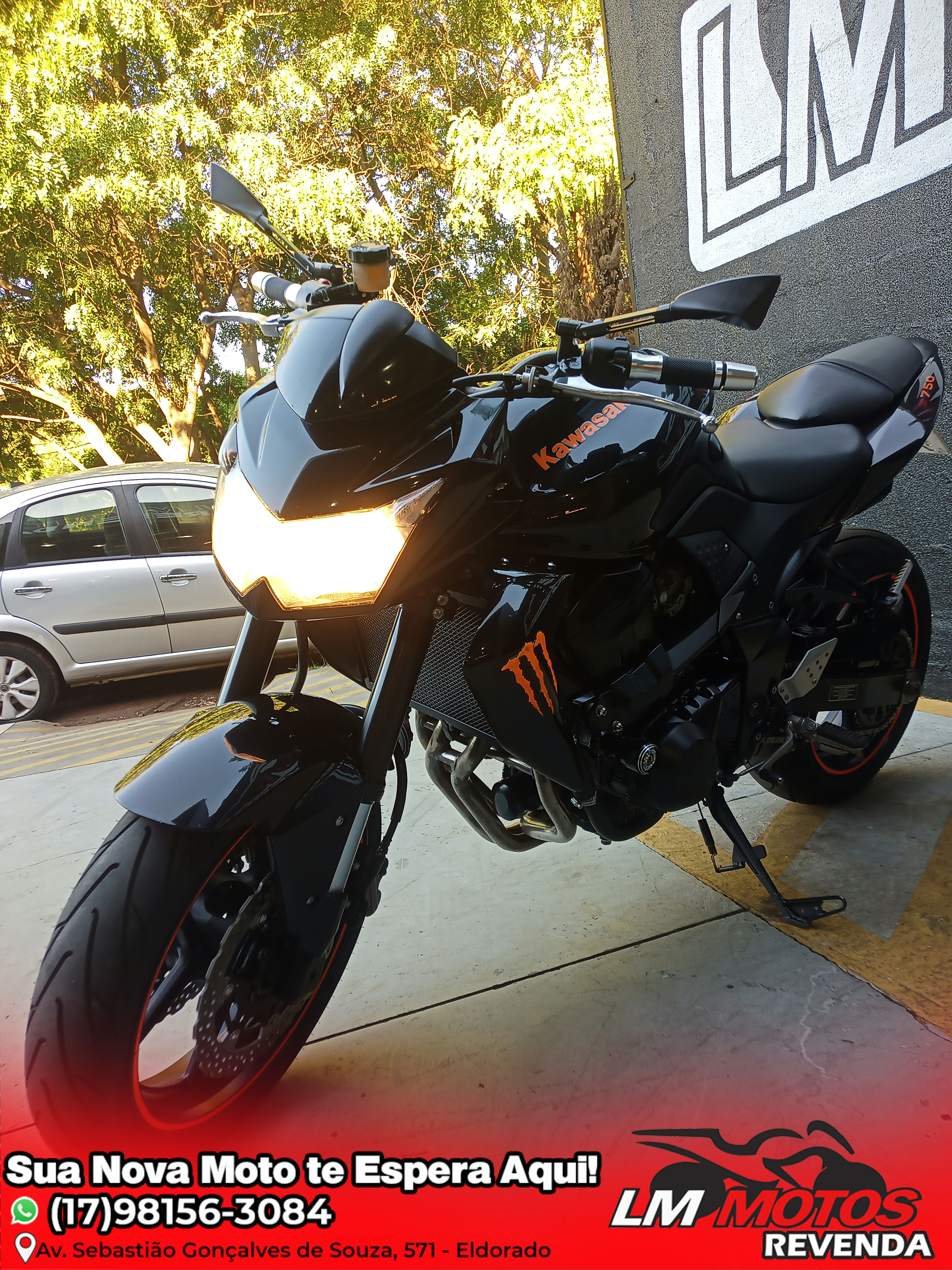 Z750 2010/10 