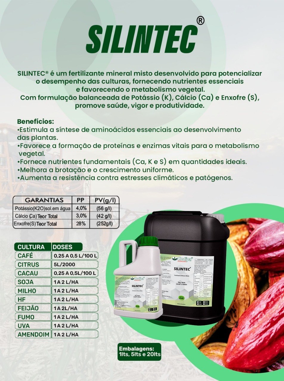 Imagem ilustrativa de SILINTEC