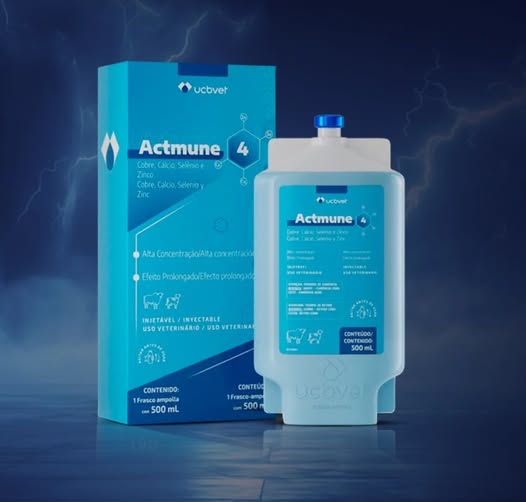 Imagem ilustrativa de ACTMUNE 4 - 500 ML