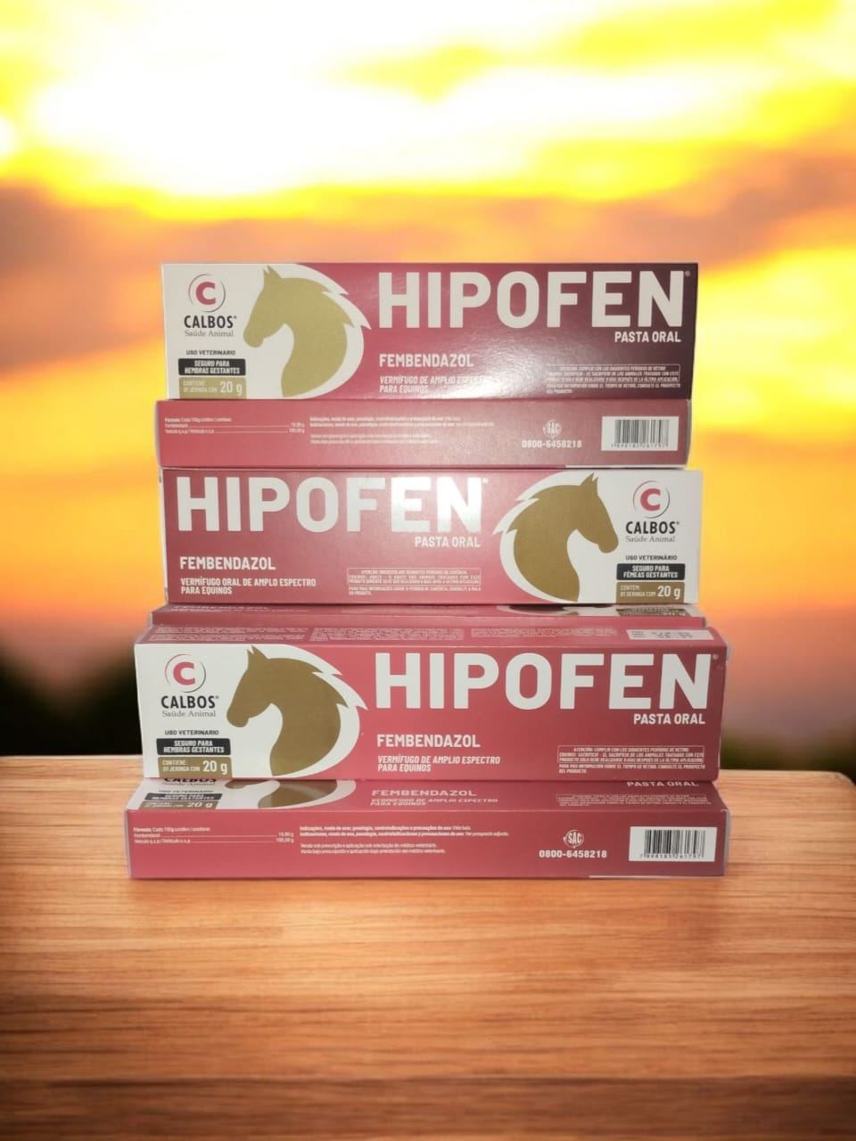 HIPOFEN PASTA ORAL - 20G - CALBOS