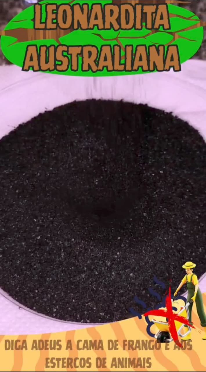 LEONARDITA AUSTRALIANA
