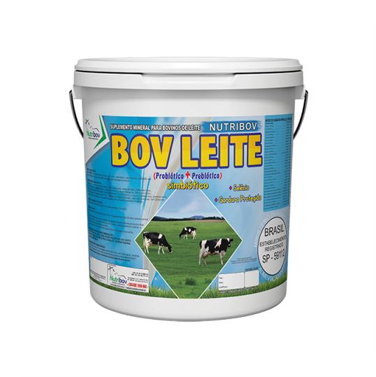Imagem ilustrativa de BOV LEITE