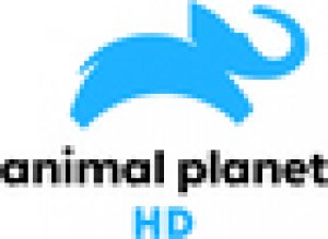 ANIMAL PLANET HD
